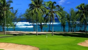 Turtle Bay Golf