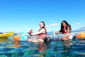 Turtle Town, Makena ; excursion en kayak et plongée en apnée sur fond transparent