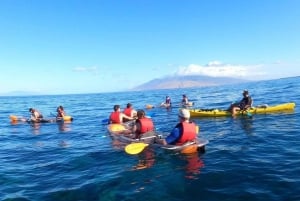 Turtle Town, Makena ; excursion en kayak et plongée en apnée sur fond transparent