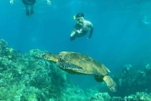 Turtle Town, Makena ; excursion en kayak et plongée en apnée sur fond transparent