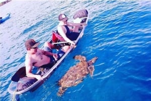 Turtle Town, Makena ; excursion en kayak et plongée en apnée sur fond transparent