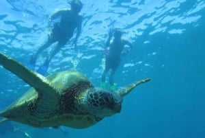 Turtle Town, Makena ; excursion en kayak et plongée en apnée sur fond transparent