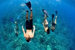 To stop Deluxe Molokini Snorkel