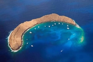 Snorkeling Deluxe Molokini in due tappe