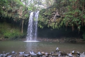 UCPlaces Maui Road to Hana #1 självguidad ljudbaserad körtur
