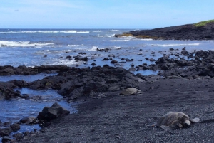 Ultimate Circle Island Explorer From Kona with Lunch