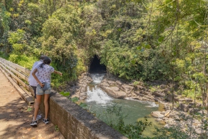 Ultimate Waterfall Experience Private Day Trip