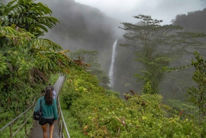 Ultimate Waterfall Experience Private Day Trip