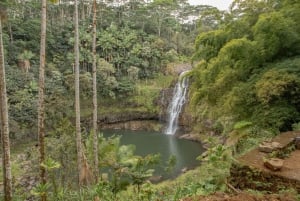 Ultimate Waterfall Experience Private Day Trip