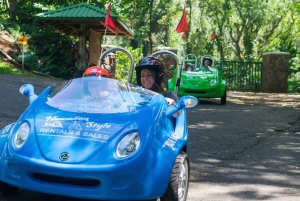 Uluniu Ave: Waikiki Scoot Coupe Noleggio Ala Moana e Kaka'ako