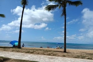 Uluniu Ave: Waikiki Scoot Coupe Rental Punchbowl Viagem de 1 dia