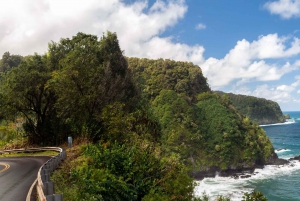 Excursão particular VIP Road to Hana em um Cadillac Escalade com caminhonete
