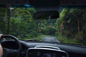 Excursão particular VIP Road to Hana em um Cadillac Escalade com caminhonete