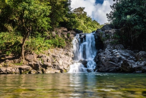 Excursão particular VIP Road to Hana em um Cadillac Escalade com caminhonete