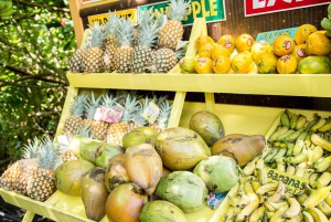 جولة خاصة لكبار الشخصيات على الطريق إلى هانا في سيارة كاديلاك إسكاليد مع شاحنة صغيرة