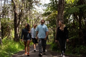 Explorador del Volcán: Salida de Waikoloa con servicio de recogida del hotel