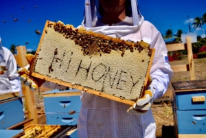 Waialua: North Shore Apiary Tour & Honey Tasting