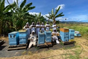 Waialua: North Shore Apiary Tour & Honey Tasting