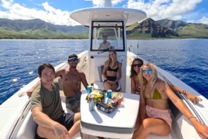 Waianae, Oahu: Schwimmen mit Delfinen (Semi-Private Bootstour)