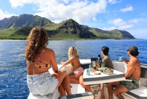 Waianae, Oahu: Swim with Dolphins (Semi-Private Boat Tour)