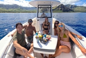 Waianae, Oahu: Pływaj z delfinami (półprywatna wycieczka łodzią)