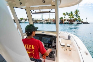 Waianae, Oahu: Pływaj z delfinami (półprywatna wycieczka łodzią)