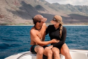 Waianae, Oahu: Pływaj z delfinami (półprywatna wycieczka łodzią)