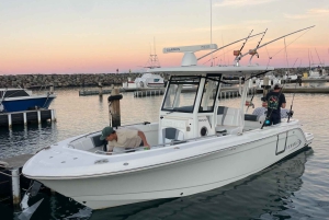 Waianae, Oahu: Pływaj z delfinami (półprywatna wycieczka łodzią)