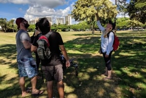 Waikiki: 2-Hour Nature and History Walk