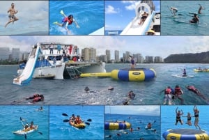 Waikiki: 5-in-1 Turtle Snorkeling Trip with Transfer