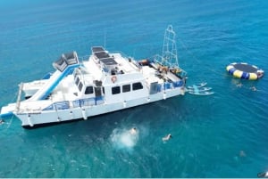 Waikiki: 5-i-1 Turtle Snorkeltur med transfer