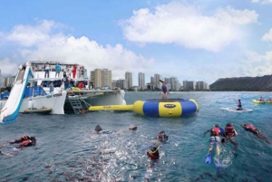Waikiki: 5 w 1 – wyprawa z żółwiami, snorkeling i transport