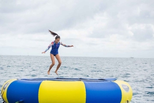 Waikiki: 5 w 1 – wyprawa z żółwiami, snorkeling i transport