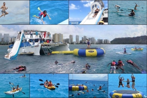 Waikiki: 5 w 1 – wyprawa z żółwiami, snorkeling i transport