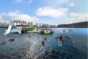 Waikiki: 5 w 1 – wyprawa z żółwiami, snorkeling i transport