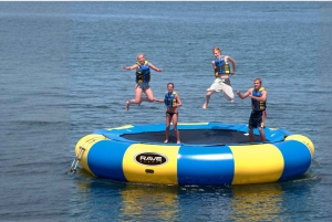 Waikiki: 5 w 1 – wyprawa z żółwiami, snorkeling i transport