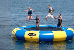 Waikiki: 5 w 1 – wyprawa z żółwiami, snorkeling i transport