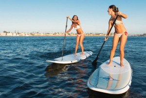 Waikiki: 5 w 1 – wyprawa z żółwiami, snorkeling i transport