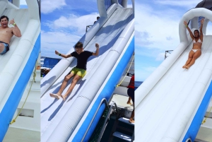 Waikiki: 5 w 1 – wyprawa z żółwiami, snorkeling i transport