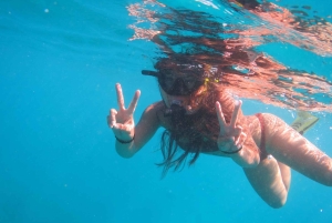 Waikiki: AM Paradise Honu Snorkeling