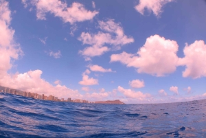 Waikiki: AM Paradise Honu Snorkeling