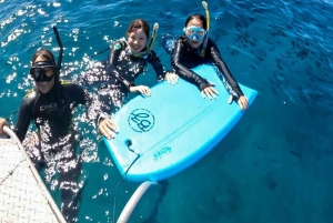 Waikiki: AM Paradise Honu Snorkeling