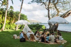 Waikiki : Piquenique na praia com fotografia profissional!