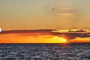 Coucher de soleil et baignade à Waikiki Beach sur un catamaran à voile
