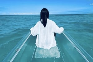 Waikīkī: alquiler de kayak transparente con equipo de seguridad