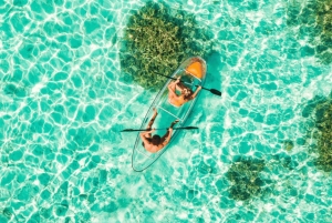 Waikīkī: noleggio di kayak trasparenti con equipaggiamento di sicurezza