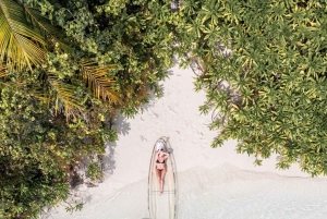 Waikīkī: noleggio di kayak trasparenti con equipaggiamento di sicurezza