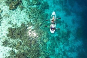 Waikīkī: noleggio di kayak trasparenti con equipaggiamento di sicurezza