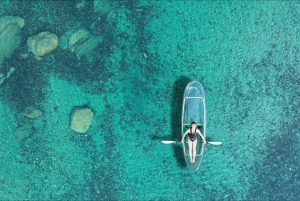 Waikīkī: noleggio di kayak trasparenti con equipaggiamento di sicurezza