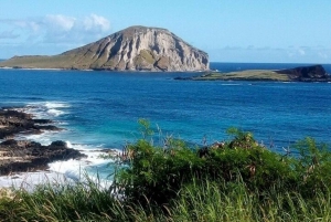 Executive Private Circle Island Tour